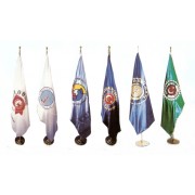 SALON BAYRAĞI